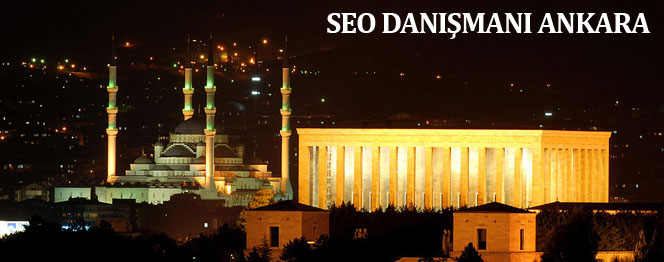 seo danman ankara